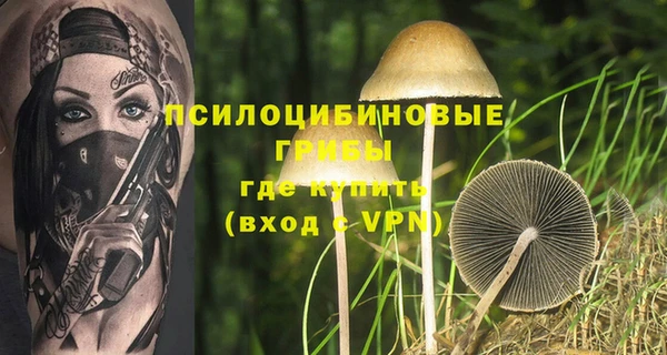 сатива Алексеевка