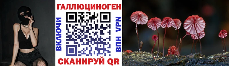 Псилоцибиновые грибы Psilocybe  как найти наркотики  kraken как зайти  Гдов 