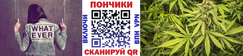 кракен ТОР Гдов Бошки Шишки план закладка